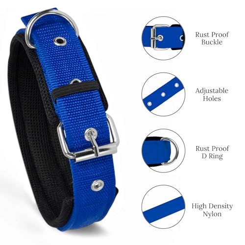 Image of Dog Collar for Small Dogs, Soft Padded Dog Belt Neck Collar, Dog Belt for Puppy Pug, Shih tzu, French Bulldog, Pomeranian, Dachshund, Maltese (Blue, S), 42 x 1.9 cm