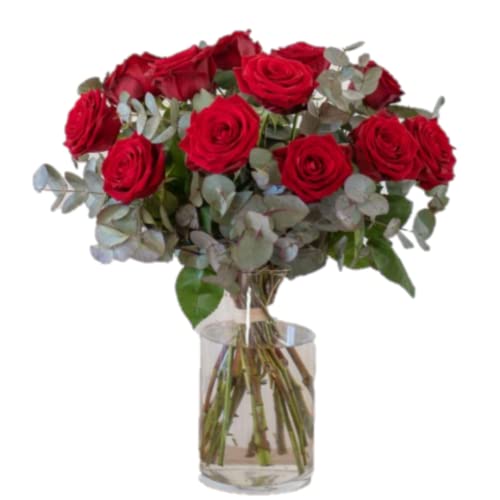 Ramo de 12 rosas rojas  FLORES NATURALES ENTREGA EN 24 HORAS DE LUNES A SABADO
