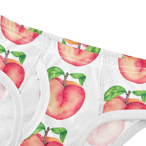 Watercolor Peaches Toddler Boy's Underwear 2T 202c14064