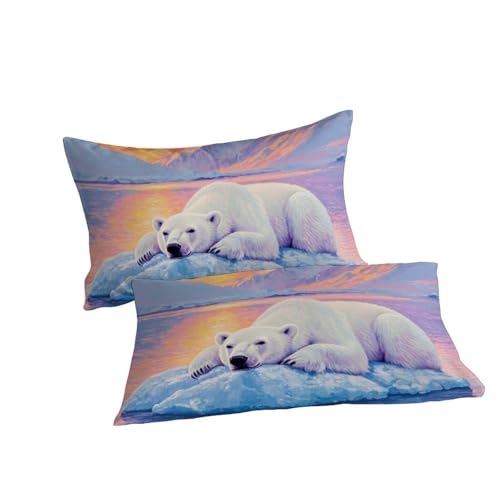 Housse de Couette Ours Polaire 200x200 Lit Double Microfifbre
