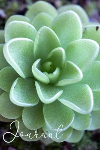 Journal - Pinguicula Zecheri x Jaumavensis: Lined Notebook