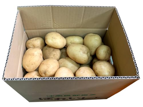 [サトキンファーム]沖永良部の赤土で育った新ジャガイモ 5kg(ニシユタカ)2〜4月お届け