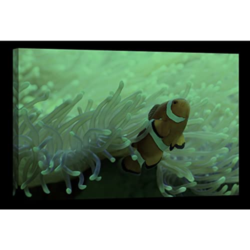 Toile animaux phosphorescente pour sublimer votre salon - 2