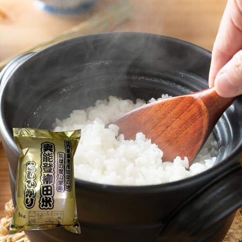 [定期便][復興支援][令和7年度産]奥能登柳田米B4[定期便]3kg×3回