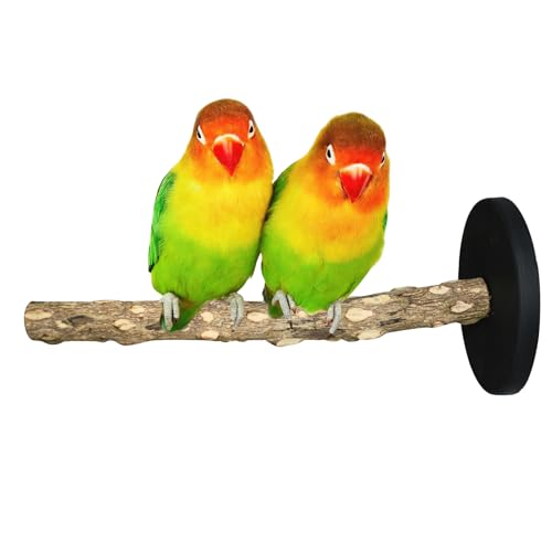 Image of Bird Stand Perch Toy, Double Layer Spinning Parakeet Toys Exercise Wheel Cockatiel Toy for Cages Wooden Perchs for Small & Medium Birds Cage Accessories for Parakeets Lovebirds Conures (Black)