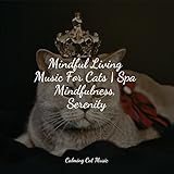 Calming Cat Music