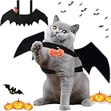 TFSZE Haustier Fledermausflügel, Hund Haustier Halloween Kostüm Mit 2PCS Pumpkin Bell,Einstellbar Ca. 6 cm Katzenkostüm, Niedlich Halloweens Kostüm, Für Schwarze Halloween Nacht Party-Größe S
