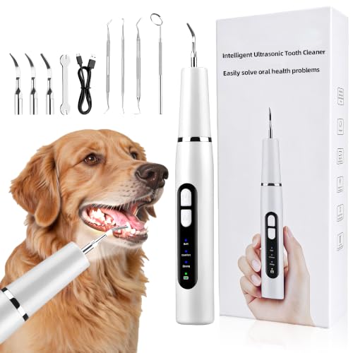 Kit de limpieza ultrasónico de dientes de perro, sensor inteligente de placa de mascotas y removedor de sarro para perros y gatos, herramienta de limpieza de dientes con luz LED, IPX5 impermeable