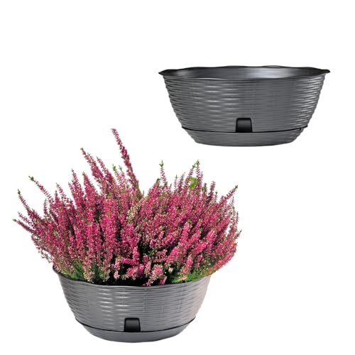 GarPet 2X Pflanzschale Blumenschale Pflanzschalen für draussen Bonsai Topf Pflanzschale Rund inkl. Untersetzer Grabschale Anthrazit 30 cm
