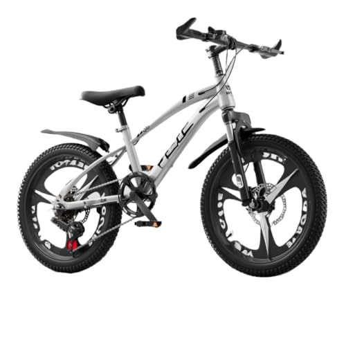 Jopsavm子供用自転車 マウンテンバイク 18/20/22インチ 男の子と女の子用 高炭素鋼フレーム ディスクブレーキ シート高調節可能 クロスカントリーバイク 初心者向け 組み立て簡単 中学生 高校生 小学生 通勤 アウトドア活動に最適 (シルバー,