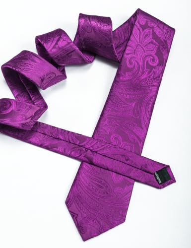 Image of Barry.Wang Paisley Tie Fashion Set Hanky Cufflinks Neckties for Men Woven Silk