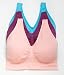 AHH Bra Pack of 3 Large (Purple/Pink/Sea Blue)