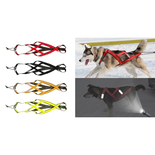 Harnais pour chiens de grande taille robuste confortable sport de glisse