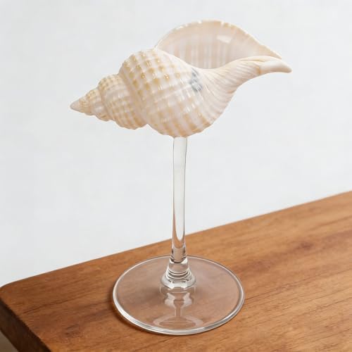 Copa de cristal de martini Pssopp estilo concha para hostelería elegante 4