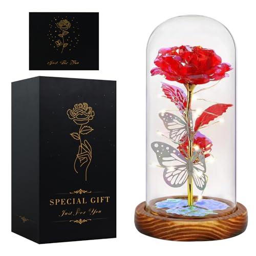 Seachrgif San Valentin Regalos Mujer Rosa Eterna Regalos Originales para Mujer San Valentin Regalos para Esposa, Madre, Hermana, cuñada, Mejor Amiga, Suegra y Amiga
