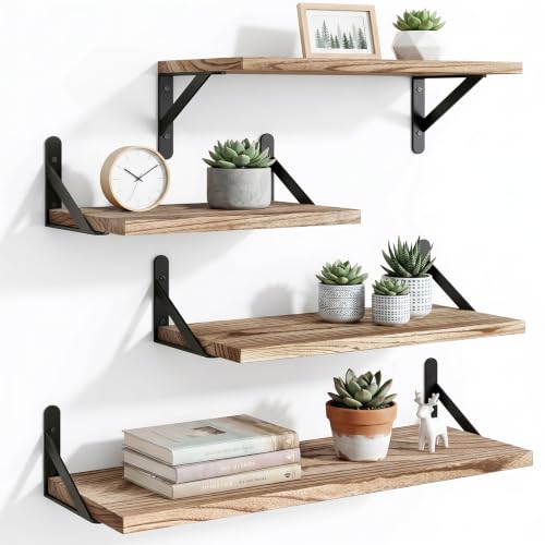 YGEOMER 4 Different Sizes Floating Shelves for Wall Decor, Light Carbonized