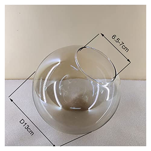 SBJG Cancella la tonalità di Vetro di Sostituzione...