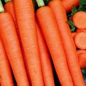 Miniatura 1 de Semillas de zanahoria Tendersweet - Paquete de 100 semillas
