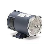 1/3 hp 1800 RPM 56C Frame 12V DC TENV Leeson Electric Motor # 108046