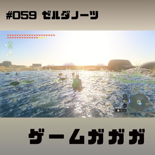 #059 Switch2 ゼルダノーツ（ZELDA NOTES）がガガガ