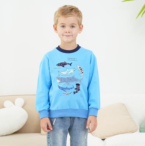 Akyzic Boys Sweatshirts Cotton Long Sleeve Crewneck Pullover Toddler Kids Winter Warm Shirt Sweater Tops 3t-8t3