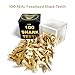 100 Real Fossilized Shark Teeth – Authentic Prehistoric Fossils with Acrylic Display Box – STEM Geology & Science Kit for Kids and Collectors – Fossil King