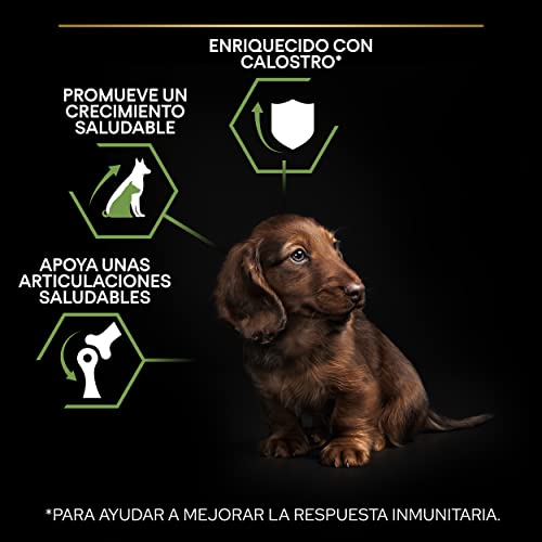 Miniatura 2 de Pro Plan Small&Mini Puppy Start pienso perro Cachorro con calostro 8x700 g