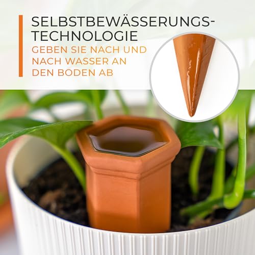 TIMELEOS Tonkegel Bewässerung, Wasserspender Pflanzen als Gießkegel, ideal für Pflanzen Bewässerung und für Zimmerpflanzen Bewässerung, Langlebig und Effizient (4)