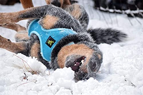 Image of EcoBark Dog Harness - Eco-Friendly Max Comfort Harnesses - Luxurious Soft Mesh Halter - Over The Head Harness Vest- No Pull and No Choke for Puppy, Small Breeds & Medium Dogs (Large, Sky Blue)