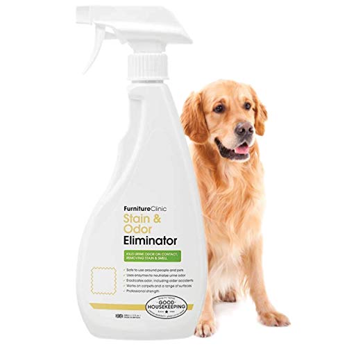 Furniture Clinic Urine Remover | Stain & Odor Eliminator For Dogs, Cats, Pets & and Human Urine Removal | Enzyme Activated Urine Spray | Get Urine Off Carpets, Mattresses and other Surfaces, 17 fl oz (500 ml)