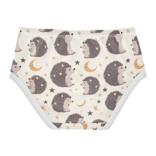 Wusikd Cute Hedgehog Girls' Underwear Cotton Stars Moons Girls Briefs Soft Toddler Underwear 2T2