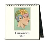 Cavallini Papers & Co CAL16-15 2016 Curiosities Desk Calendar