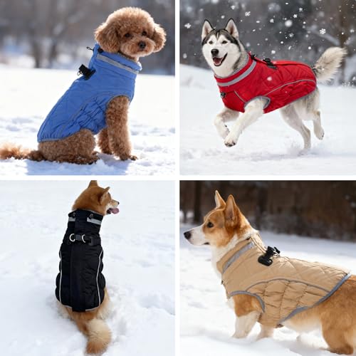 Abrigo de invierno para perro con cremallera azul talla L 7