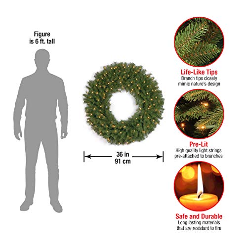 Image of National Tree Company Pre-Lit Artificial Christmas Wreath, Green, Norwood Fir, White Lights, Christmas Collection, 42 Inches