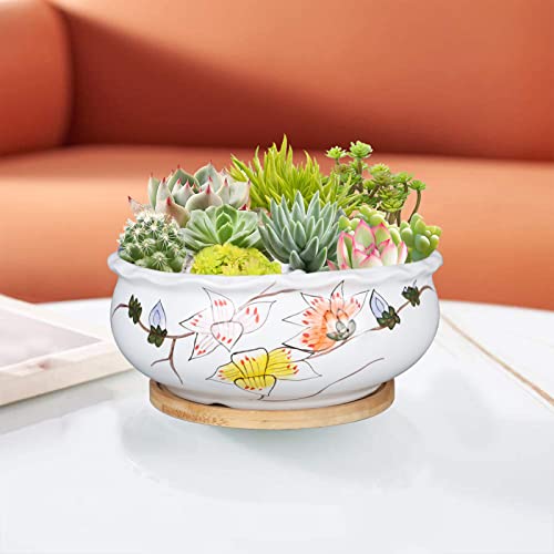 G Epgardening 8 Inch Large Round Succulent Planter Pot Succulent Planter Pot With Drainage Hole Round Shallow Bonsai Planter Pot With Bamboo Saucer Round Flower Plant Pot For Indoor Plants White #TOP4