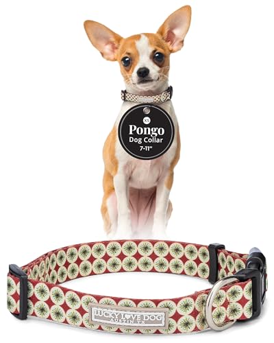 Lucky Love Dog Collar for Puppies & Small Dogs Cute Soft – Pongo, X-Small