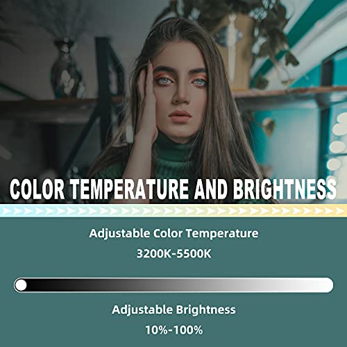 RAUBAY 45,7 cm LED-Ringlicht mit Schreibtischhalterung und Telefonhalter, Selfie Kreis Licht mit Ständer, C-Klemme für… – Bild 3