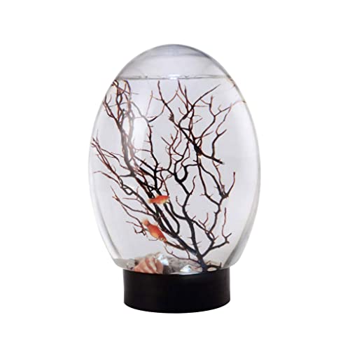 Mini Aquarium Fish Tank Ecosphere Closed Aquatic Ecosystem with LED Light Desktop Aquarium Stable Black Base No Need to Feed or Change Water