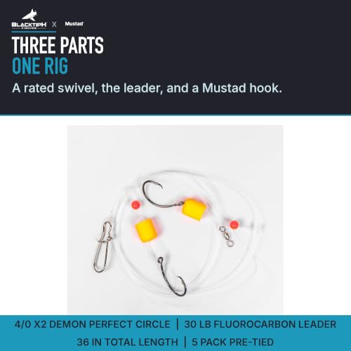 Mustad BlacktipH Multi-Hook Surf Rig Dos Anzuelos Circle 4/0 30 lb Fluoro miniatura 4