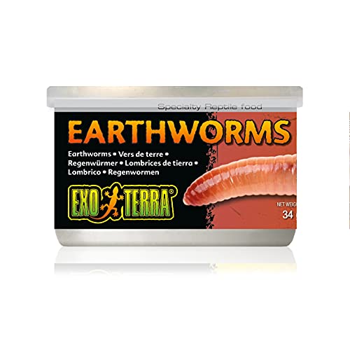 Editor’s Pick Best Food For Earthworms of 2022 BNB