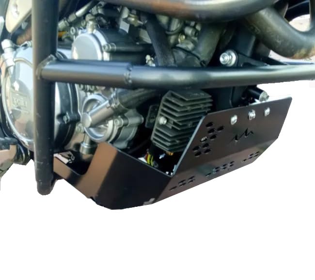 Plaque de protection Aprilia Pegaso Strada 650 contre chocs - 3