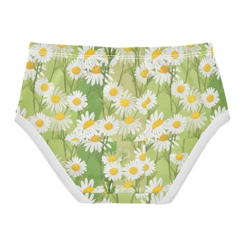 Joisal Cotton Girls Underwear Toddler White Daisies Light Green Beige Little Girl Panties Designer Underpants Briefs 2t2