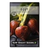 Sow Right Seeds - Golden Globe Beet Seed for Planting - Non-GMO Heirloom Packet with Instructions to...