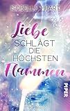  Liebe schlägt die höchsten Flammen: Roman.  Eine humorvolle New-Adult-Romance