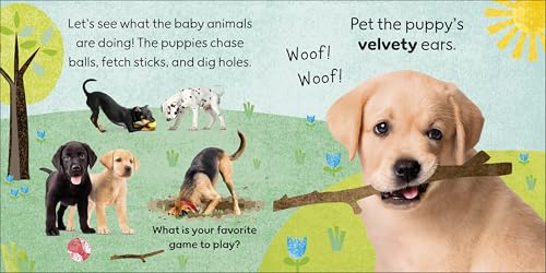 Touch and Feel Baby Animals: With Tactiles for Toddlers to Explore