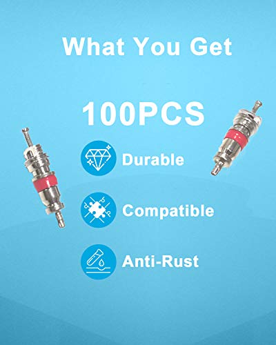 Image of Riseuvo 100Pcs Schrader Valve Cores - Premium Tire Valve Stem Core Replacement for Automotive, RV, ATV, Motorcycles, Bicycles and Air Conditioning Systems, Universal Fit (Pack of 2)