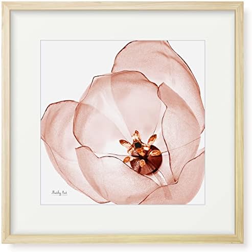 薔薇の絵画　縦32センチ橫26センチ 薔薇の絵画縦32センチ橫26センチ