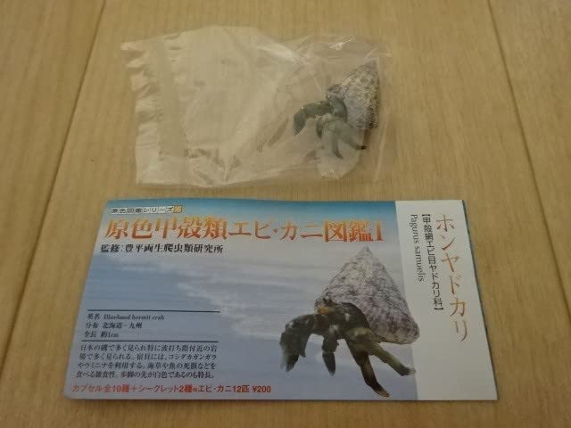 Amazon.co.jp: 原色甲殻類エビ・カニ図鑑Ⅰ ホンヤドカリ ユージン