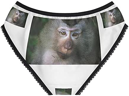 Macaque Monkey Panties, Macaque Monkey Underwear, Briefs, Cotton Briefs, Funny Underwear, Panties For Women