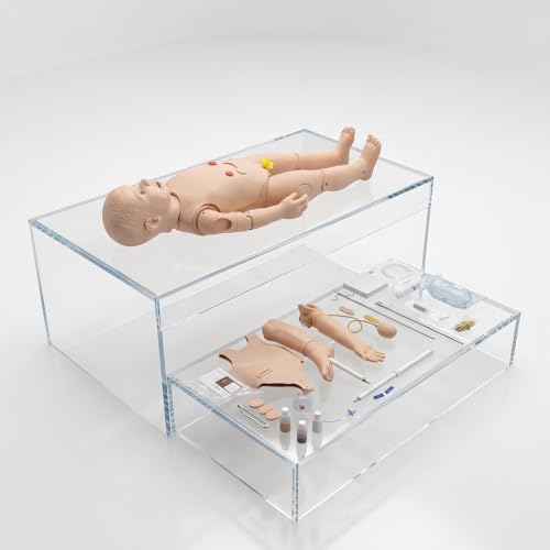 Anatomy Doll Figure Model for Nursing Training with Airway Management, Venipuncture, Catheterization, Ostomy Care, and Movable Joints, Anatomical Models Human Body Study Tools - Image 6